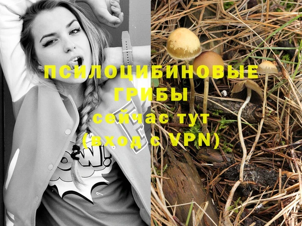 ГАЛЛЮЦИНОГЕННЫЕ ГРИБЫ Аркадак