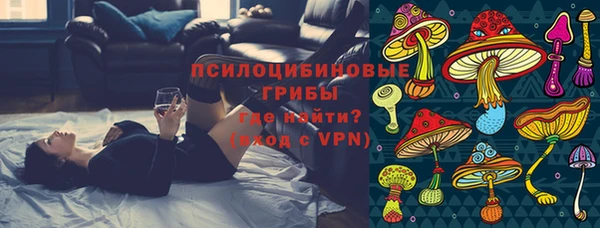 ГАЛЛЮЦИНОГЕННЫЕ ГРИБЫ Аркадак