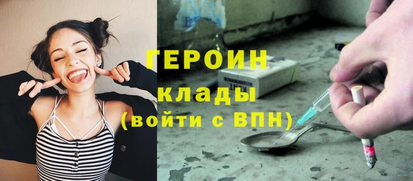 ГАЛЛЮЦИНОГЕННЫЕ ГРИБЫ Аркадак