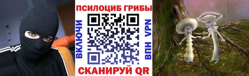 как найти наркотики  Островной  Псилоцибиновые грибы мицелий 